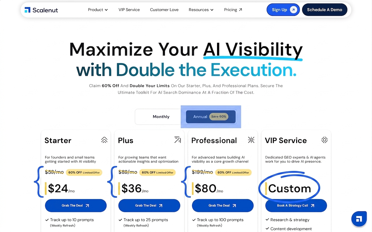 Annotated Scalenut pricing page highlighting annual billing, the limited 60% offer, Starter at $59 or $24, Plus at $89 or $36, Professional at $199 or $80, and VIP custom pricing Annotated Scalenut pricing page highlighting annual billing, the limited 60% offer, Starter at $59 or $24, Plus at $89 or $36, Professional at $199 or $80, and VIP custom pricing